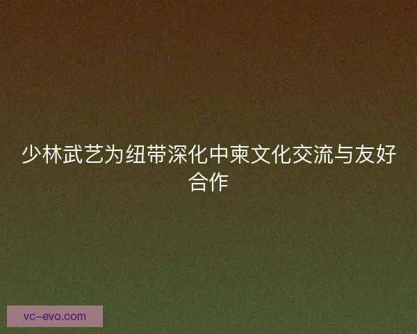 少林武艺为纽带深化中柬文化交流与友好合作